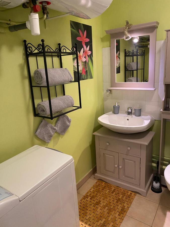 Appartement Cosy Avec Jardin Privatif Et Garage Fontainebleau Exteriér fotografie